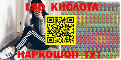 Альфа ПВП Аргун