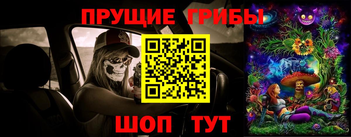 Галлюциногенные грибы GOLDEN TEACHER Малгобек