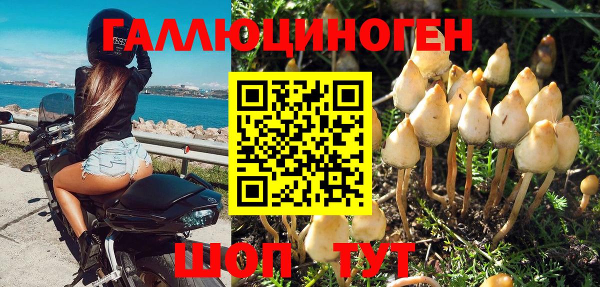 Псилоцибиновые грибы мухоморы  Малгобек 