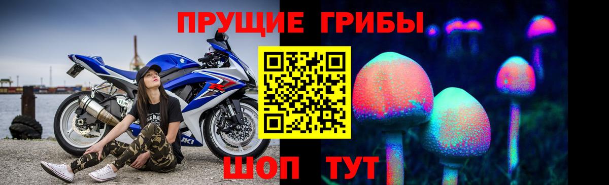 купить  цена  Псилоцибиновые грибы прущие грибы  Вход с VPN  Малгобек 