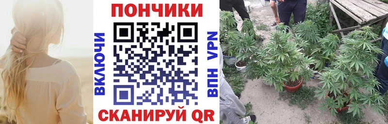Шишки марихуана Amnesia Малгобек