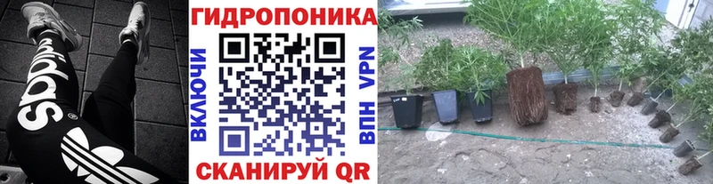Марихуана Bruce Banner МЕГА вход darknet состав Малгобек